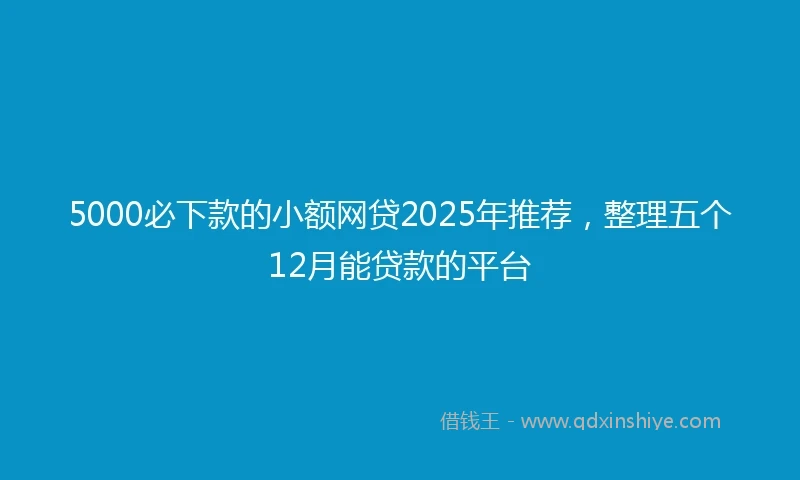 5000必下款的小额网贷2025年推荐，整理五个12月能贷款的平台