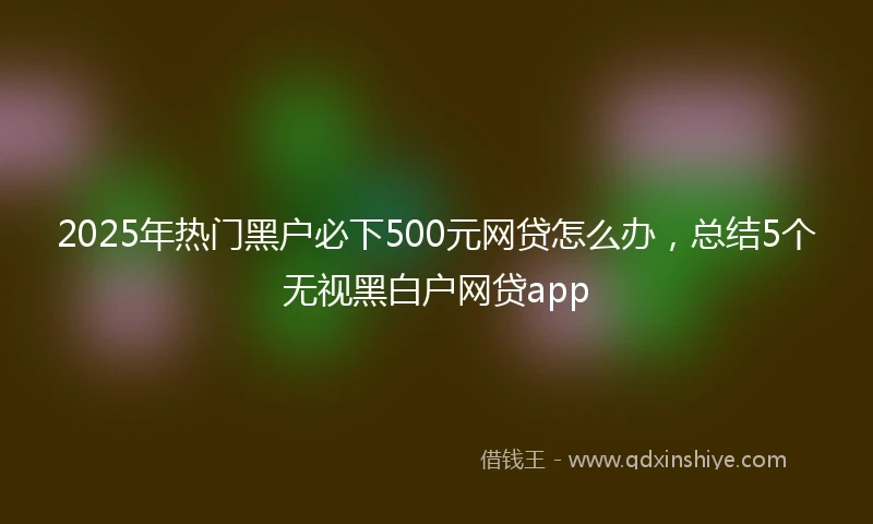 2025年热门黑户必下500元网贷怎么办，总结5个无视黑白户网贷app