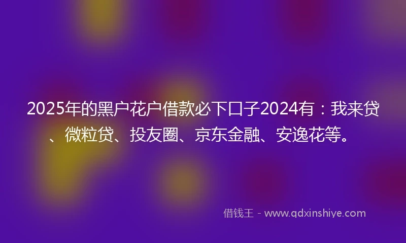 2025年的黑户花户借款必下口子2024有：我来贷、微粒贷、投友圈、京东金融、安逸花等。