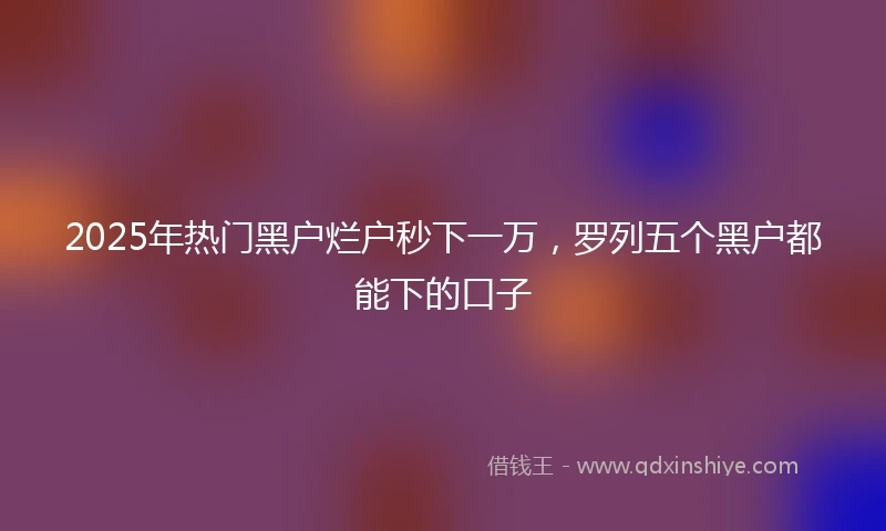 2025年热门黑户烂户秒下一万，罗列五个黑户都能下的口子