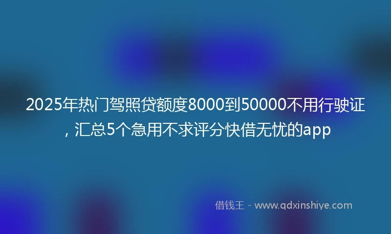 2025年热门驾照贷额度8000到50000不用行驶证，汇总5个急用不求评分快借无忧的app