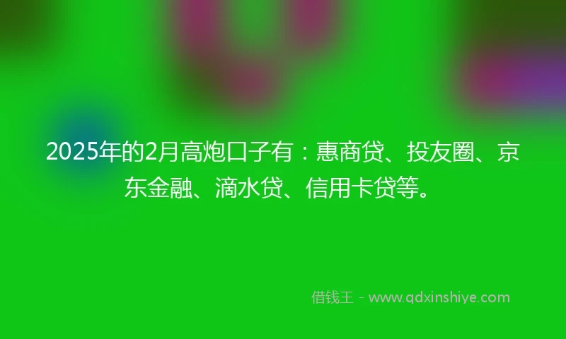 2025年的2月高炮口子有：惠商贷、投友圈、京东金融、滴水贷、信用卡贷等。