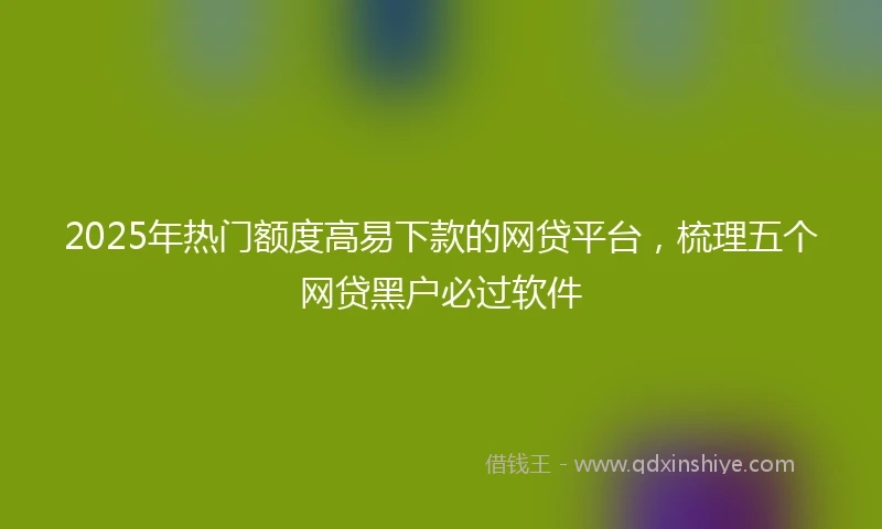 2025年热门额度高易下款的网贷平台，梳理五个网贷黑户必过软件