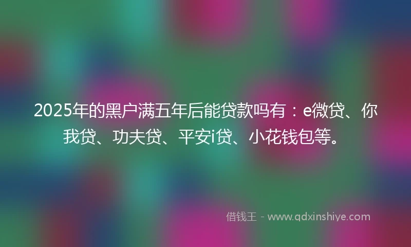 2025年的黑户满五年后能贷款吗有：e微贷、你我贷、功夫贷、平安i贷、小花钱包等。