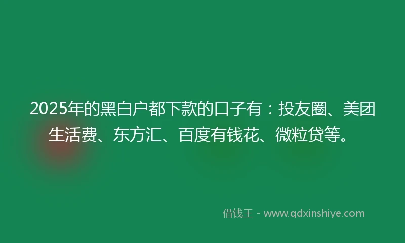 2025年的黑白户都下款的口子有：投友圈、美团生活费、东方汇、百度有钱花、微粒贷等。