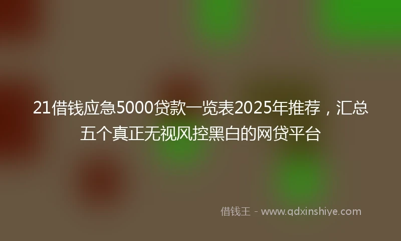 21借钱应急5000贷款一览表2025年推荐，汇总五个真正无视风控黑白的网贷平台