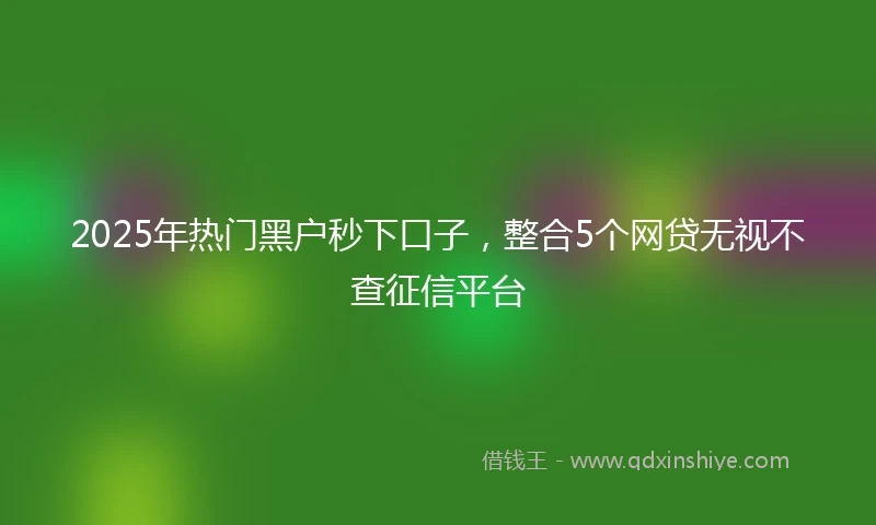 2025年热门黑户秒下口子，整合5个网贷无视不查征信平台
