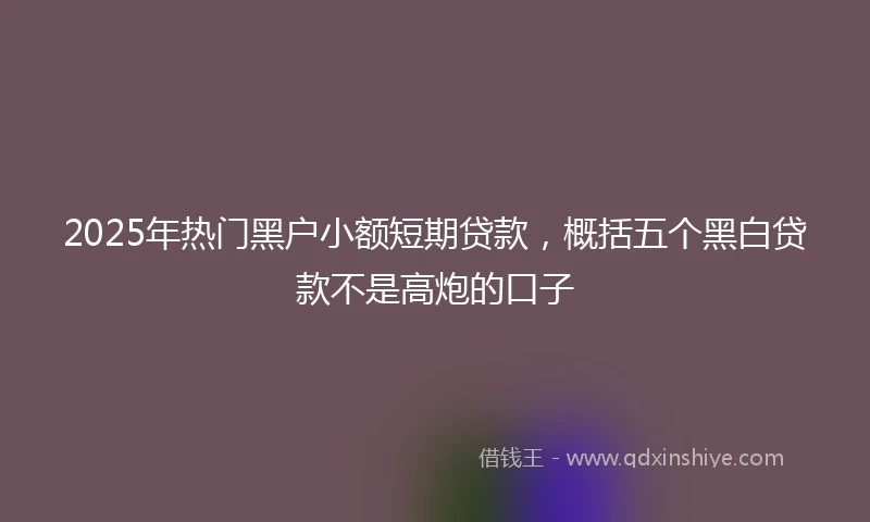 2025年热门黑户小额短期贷款，概括五个黑白贷款不是高炮的口子