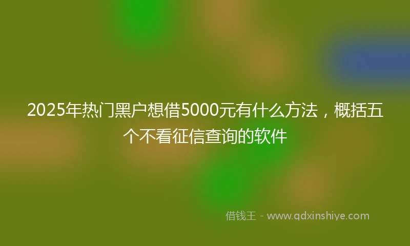 2025年热门黑户想借5000元有什么方法，概括五个不看征信查询的软件