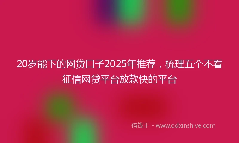 20岁能下的网贷口子2025年推荐，梳理五个不看征信网贷平台放款快的平台