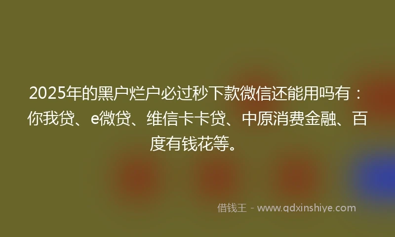 2025年的黑户烂户必过秒下款微信还能用吗有：你我贷、e微贷、维信卡卡贷、中原消费金融、百度有钱花等。