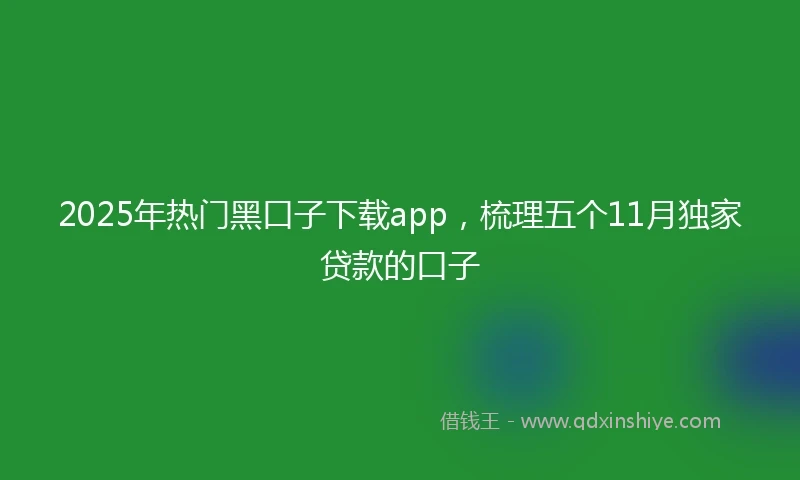 2025年热门黑口子下载app，梳理五个11月独家贷款的口子