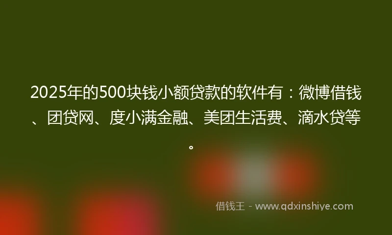 2025年的500块钱小额贷款的软件有：微博借钱、团贷网、度小满金融、美团生活费、滴水贷等。