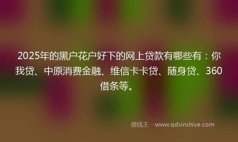 2025年的黑户花户好下的网上贷款有哪些有：你我贷、中原消费金融、维信卡卡贷、随身贷、360借条等。