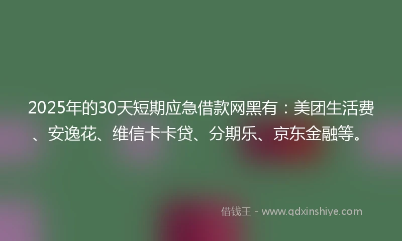 2025年的30天短期应急借款网黑有：美团生活费、安逸花、维信卡卡贷、分期乐、京东金融等。