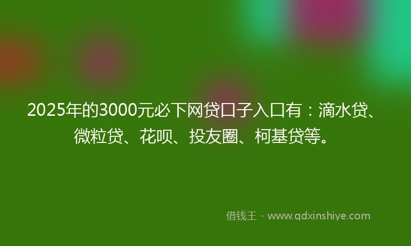 2025年的3000元必下网贷口子入口有：滴水贷、微粒贷、花呗、投友圈、柯基贷等。