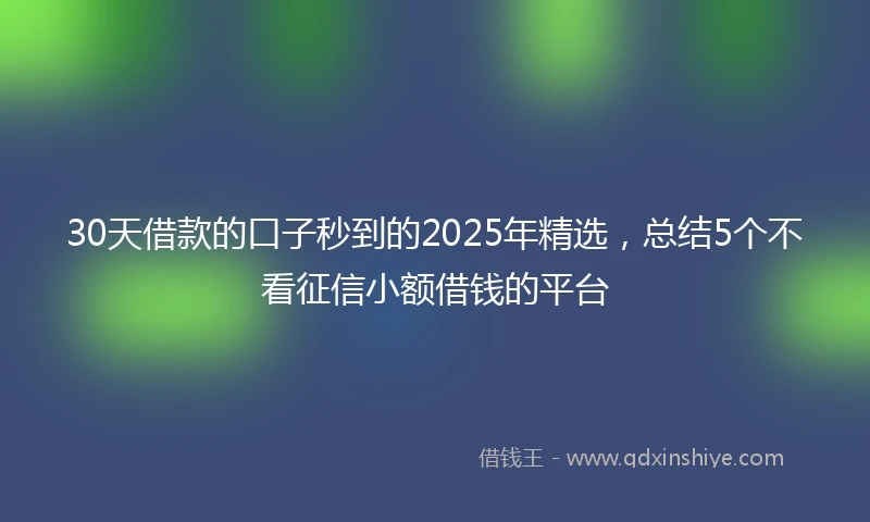 30天借款的口子秒到的2025年精选，总结5个不看征信小额借钱的平台
