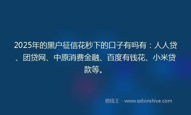 2025年的黑户征信花秒下的口子有吗有：人人贷、团贷网、中原消费金融、百度有钱花、小米贷款等。