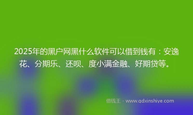 2025年的黑户网黑什么软件可以借到钱有：安逸花、分期乐、还呗、度小满金融、好期贷等。