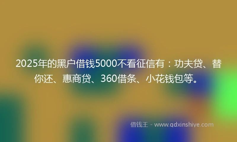 2025年的黑户借钱5000不看征信有：功夫贷、替你还、惠商贷、360借条、小花钱包等。