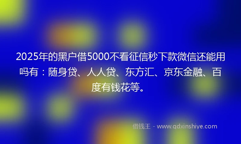 2025年的黑户借5000不看征信秒下款微信还能用吗有：随身贷、人人贷、东方汇、京东金融、百度有钱花等。