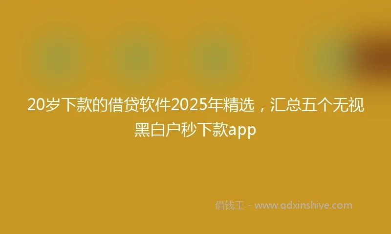 20岁下款的借贷软件2025年精选，汇总五个无视黑白户秒下款app