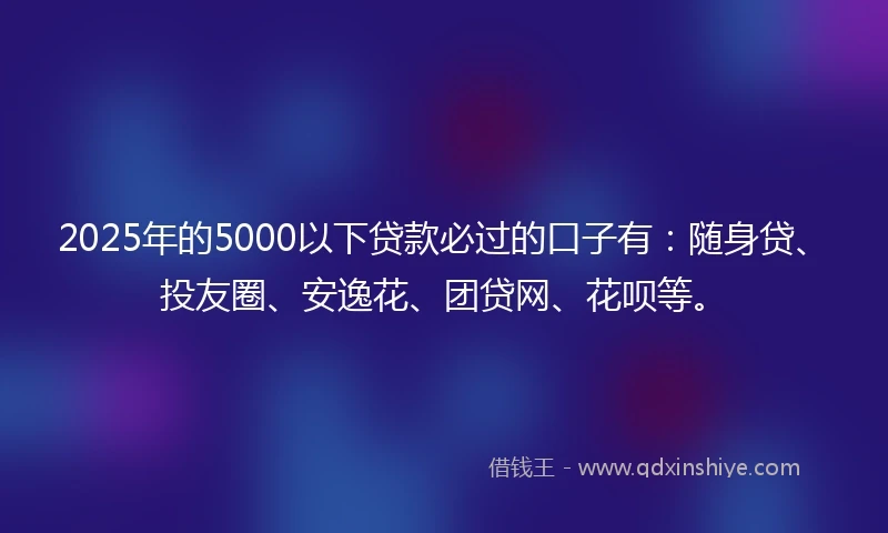 2025年的5000以下贷款必过的口子有：随身贷、投友圈、安逸花、团贷网、花呗等。