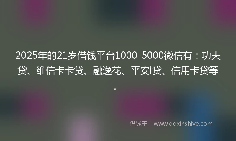 2025年的21岁借钱平台1000-5000微信有：功夫贷、维信卡卡贷、融逸花、平安i贷、信用卡贷等。