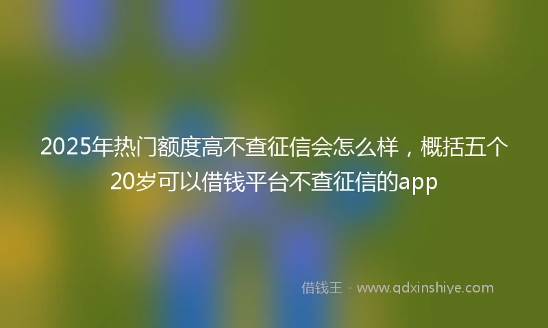2025年热门额度高不查征信会怎么样，概括五个20岁可以借钱平台不查征信的app
