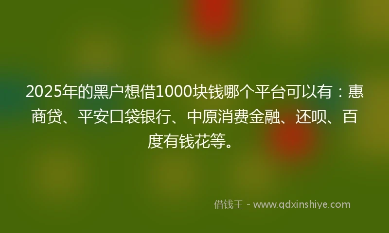 2025年的黑户想借1000块钱哪个平台可以有：惠商贷、平安口袋银行、中原消费金融、还呗、百度有钱花等。