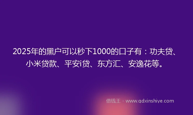 2025年的黑户可以秒下1000的口子有：功夫贷、小米贷款、平安i贷、东方汇、安逸花等。