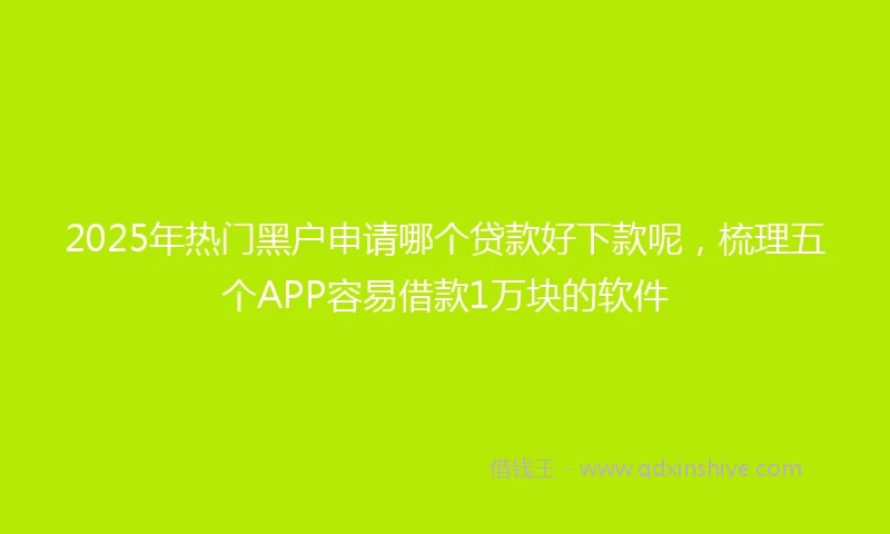 2025年热门黑户申请哪个贷款好下款呢，梳理五个APP容易借款1万块的软件