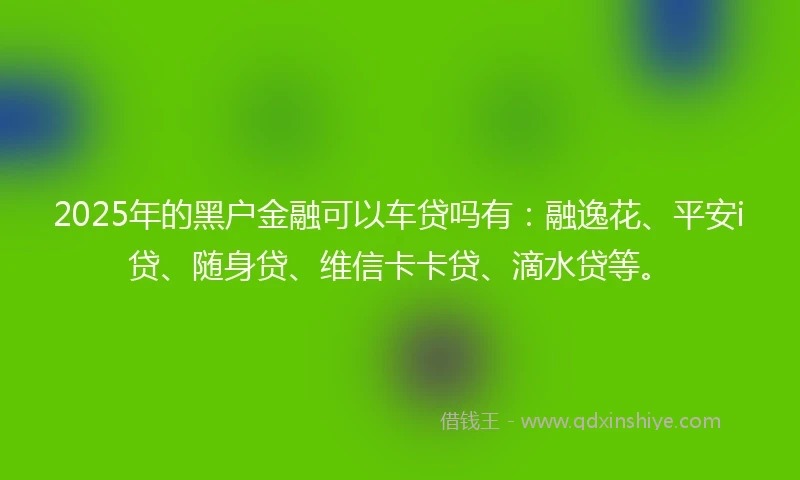 2025年的黑户金融可以车贷吗有：融逸花、平安i贷、随身贷、维信卡卡贷、滴水贷等。