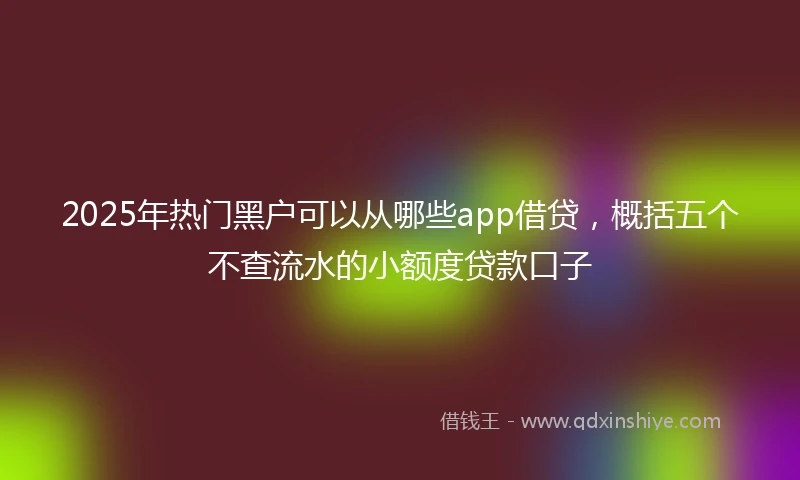 2025年热门黑户可以从哪些app借贷，概括五个不查流水的小额度贷款口子