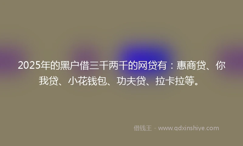 2025年的黑户借三千两千的网贷有：惠商贷、你我贷、小花钱包、功夫贷、拉卡拉等。