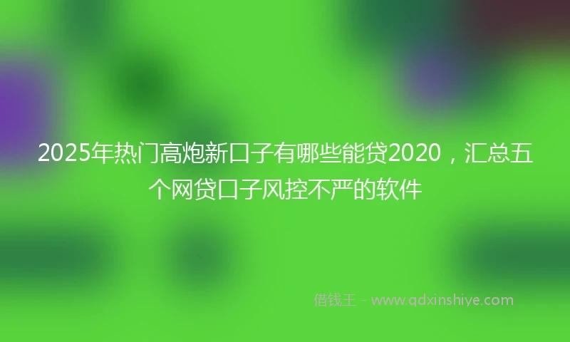 2025年热门高炮新口子有哪些能贷2020，汇总五个网贷口子风控不严的软件