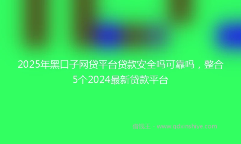 2025年黑口子网贷平台贷款安全吗可靠吗，整合5个2024最新贷款平台