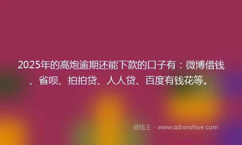 2025年的高炮逾期还能下款的口子有：微博借钱、省呗、拍拍贷、人人贷、百度有钱花等。