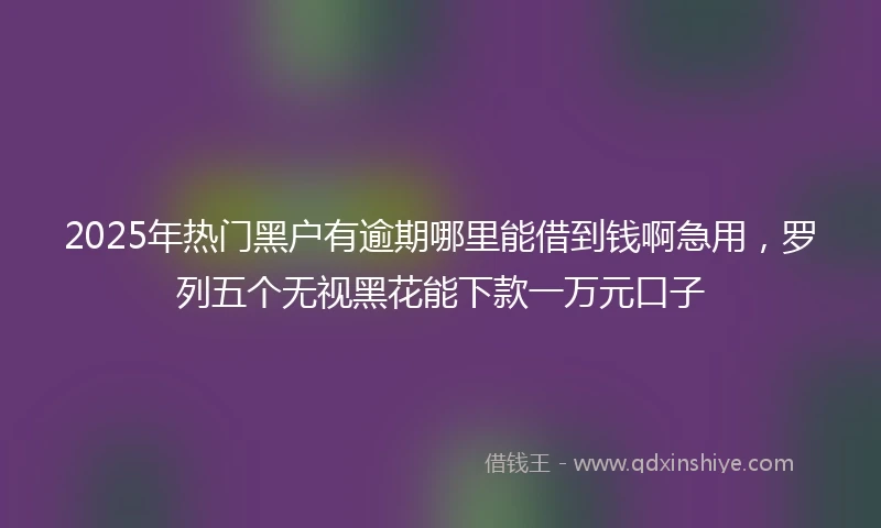 2025年热门黑户有逾期哪里能借到钱啊急用，罗列五个无视黑花能下款一万元口子