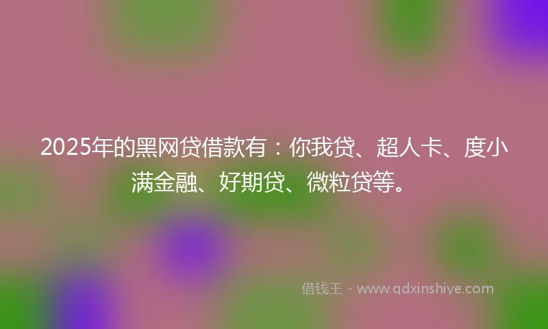 2025年的黑网贷借款有：你我贷、超人卡、度小满金融、好期贷、微粒贷等。