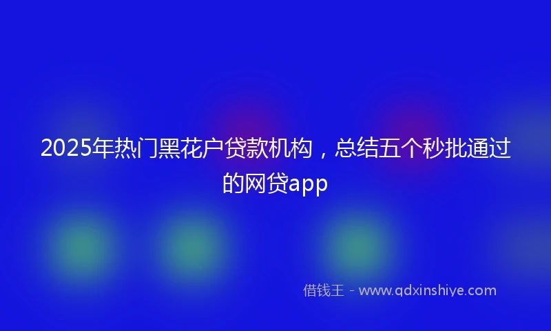 2025年热门黑花户贷款机构，总结五个秒批通过的网贷app