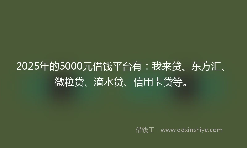 2025年的5000元借钱平台有:我来贷、东方汇、微粒贷、滴水贷、信用卡贷等。
