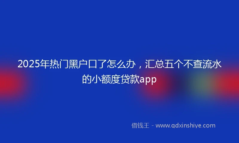 2025年热门黑户口了怎么办，汇总五个不查流水的小额度贷款app