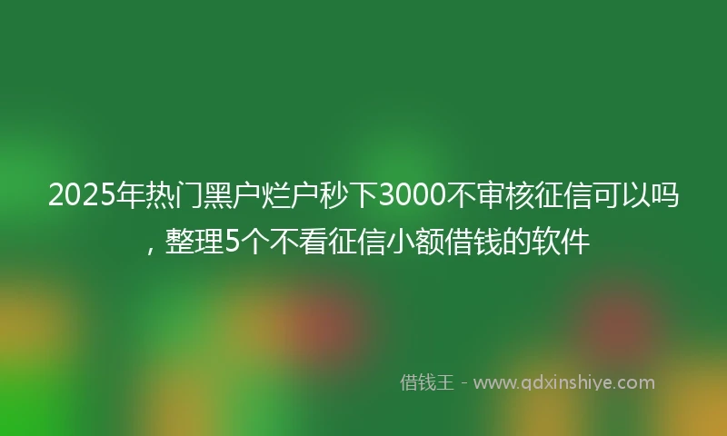 2025年热门黑户烂户秒下3000不审核征信可以吗，整理5个不看征信小额借钱的软件