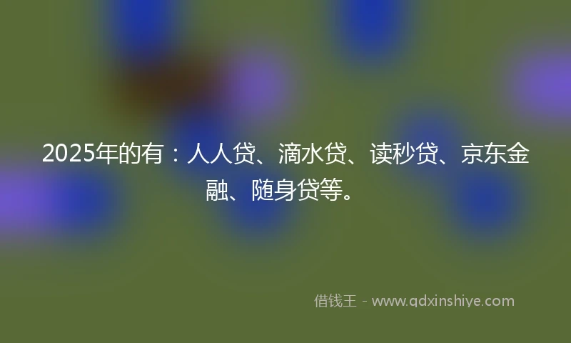 2025年的有：人人贷、滴水贷、读秒贷、京东金融、随身贷等。