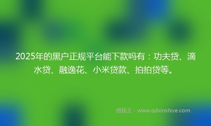 2025年的黑户正规平台能下款吗有：功夫贷、滴水贷、融逸花、小米贷款、拍拍贷等。