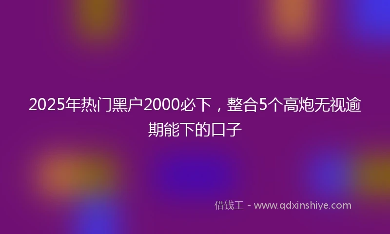 2025年热门黑户2000必下，整合5个高炮无视逾期能下的口子