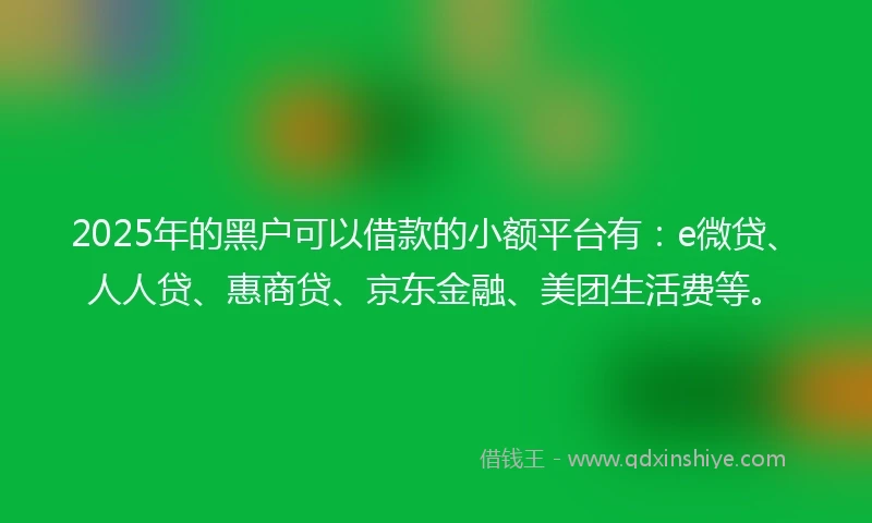 2025年的黑户可以借款的小额平台有：e微贷、人人贷、惠商贷、京东金融、美团生活费等。
