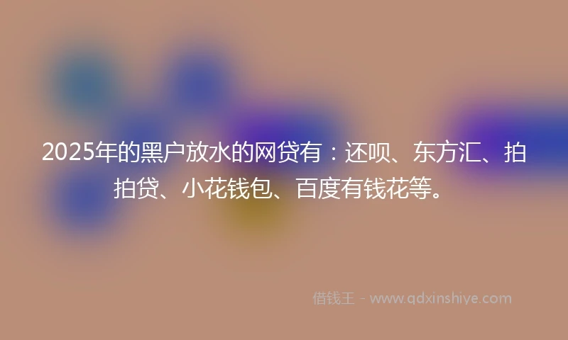 2025年的黑户放水的网贷有：还呗、东方汇、拍拍贷、小花钱包、百度有钱花等。