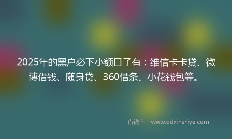 2025年的黑户必下小额口子有：维信卡卡贷、微博借钱、随身贷、360借条、小花钱包等。